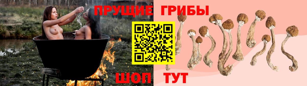 Псилоцибиновые грибы Magic Shrooms Жуковский